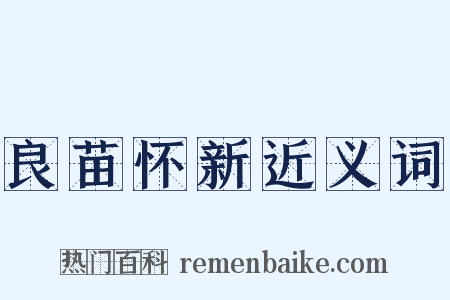 良苗怀新近义词是什么意思的图片